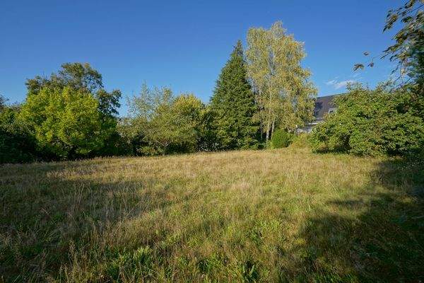 Impressionen Grundstück