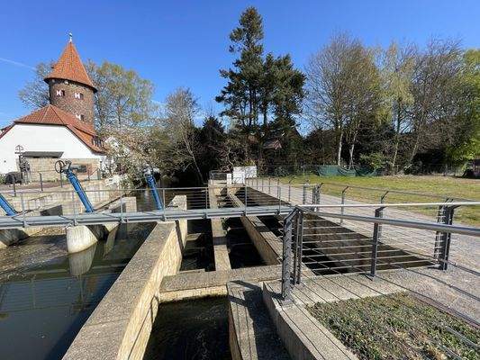 Flusslauf d. Aa m. Fischtreppe