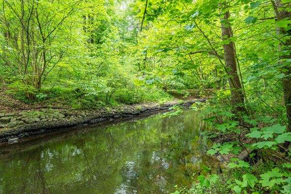 Idyllische Atmosphäre durch angrenzenden Alsterlauf