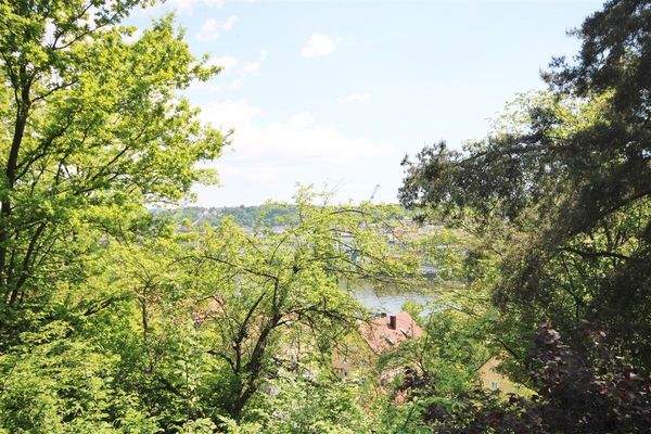 Blick im Sommer (OG)