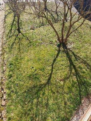 Teilansicht Gartenanteil 