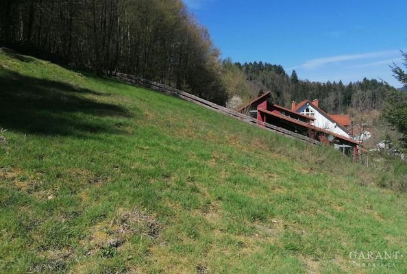 Grundstück im Frühling