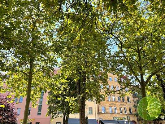 Und vom Park gegenüber.