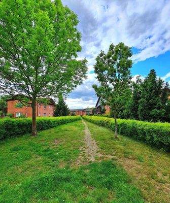 wundervolle Gartenanlage.jpg