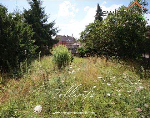 Bad Dürrenberg Grundstücke, Bad Dürrenberg Grundstück kaufen