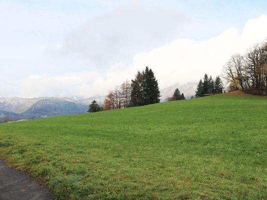 die nahe Umgebung.jpg