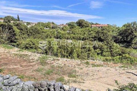 Dobrinj Bauernhöfe, Landwirtschaft, Dobrinj Forstwirtschaft