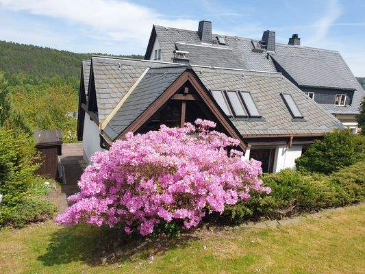 Hausansicht hinten mit Anbau.jpg