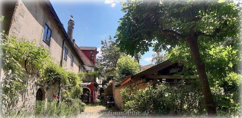 an den Ufern der Wörnitz