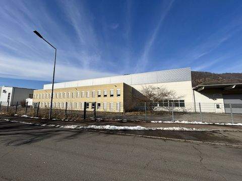 Deggingen Halle, Deggingen Hallenfläche