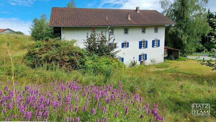 Blick vom Nordwesten des Grundstücks