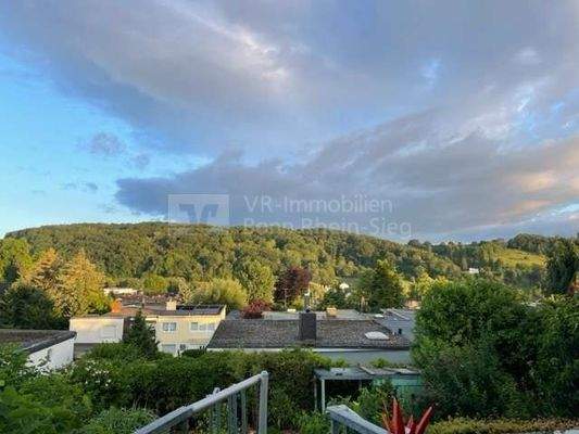 Panoramerblick vom Balkon  ins Tal