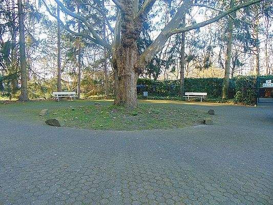 Gepflegte Grünflächen.jpg