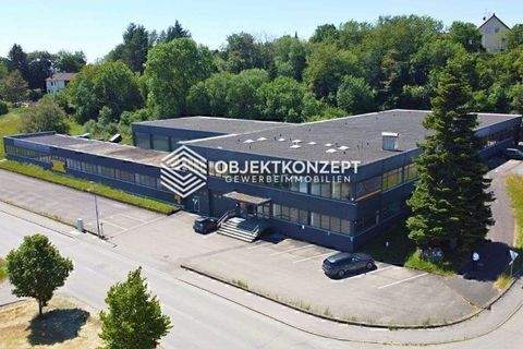 Schwenningen Halle, Schwenningen Hallenfläche