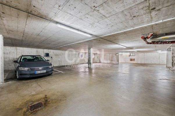 Weinstraße_20260221_44