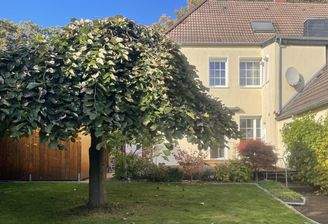 Ansicht Hausrückseite