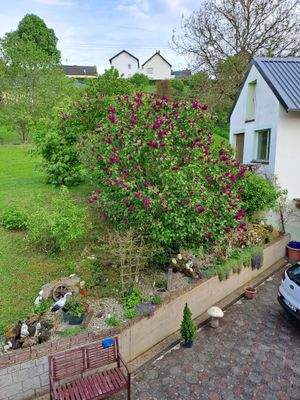 Hof mit Nebengebäude