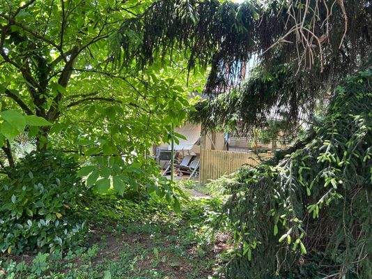 was für Gartenprofis?