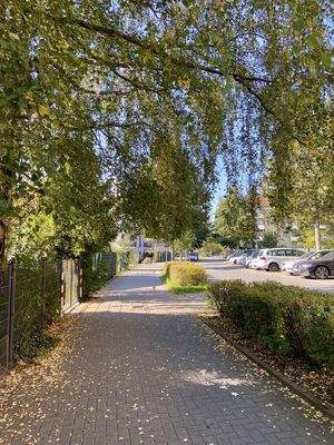 Straße Viehtrift Foto 1