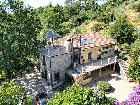 Camaiore Häuser, Camaiore Haus kaufen