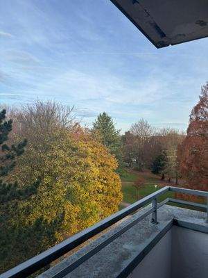 WhatsApp Image 2025-11-14 at 17.31.09