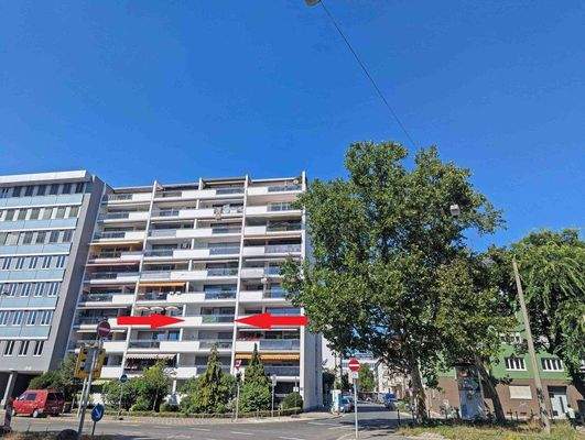 Anwesen Süd-Ansicht 