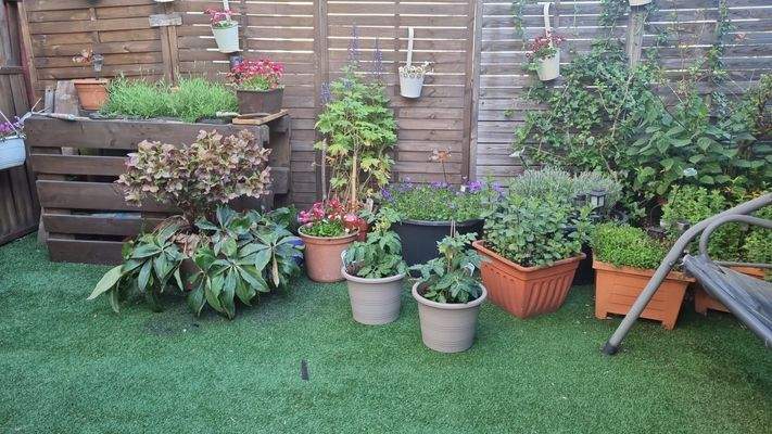 WhatsApp Image 2026-01-29 at 13.10.24 (3).jpeg