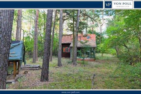 Borkheide Grundstücke, Borkheide Grundstück kaufen