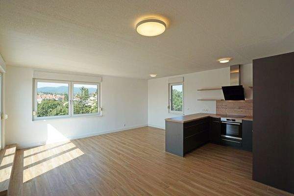 Wohnzimmer mit offener Küche (DAN Küche 2019)