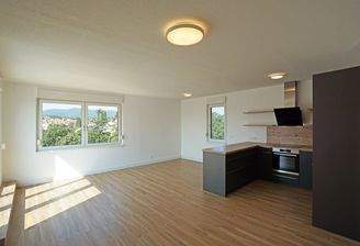 Wohnzimmer mit offener Küche (DAN Küche 2019)