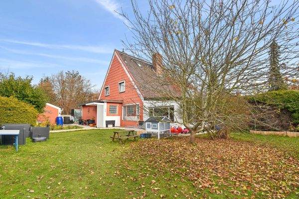 Garten (Süd-West) mit Altbestand