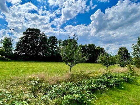 Ausblick nach hinten