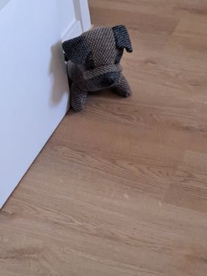 Freundlicher Wachhund.jpg