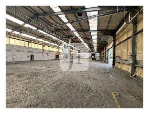 Uelzen Halle, Uelzen Hallenfläche