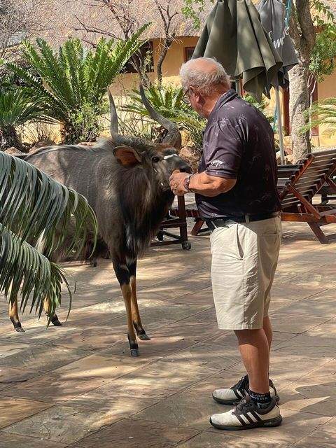 Northern Provice Häuser, Northern Provice Haus kaufen