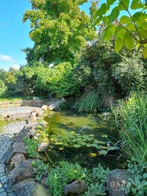 Gartenteich