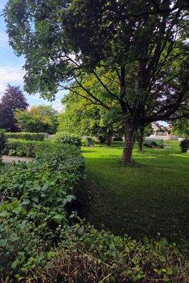 Grundstück mit viel Grün 