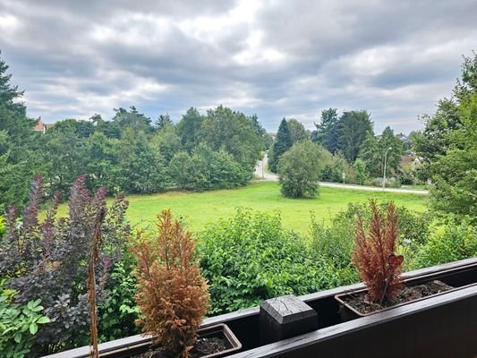 5241 - Ihr unverbaubarer Blick von der Loggia Richtung Süden