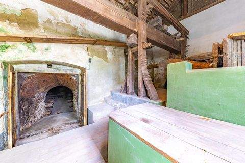 Frauendorf an der Schmida Renditeobjekte, Mehrfamilienhäuser, Geschäftshäuser, Kapitalanlage