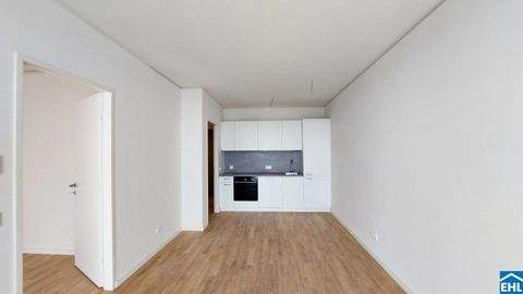 Wien Wohnungen, Wien Wohnung mieten