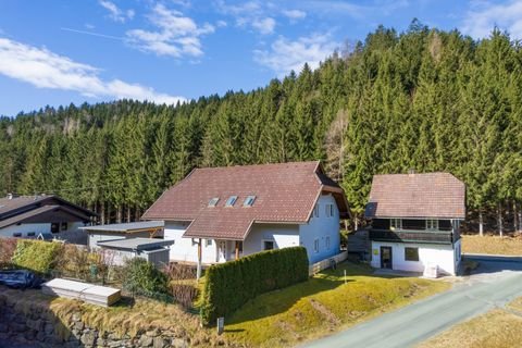 Feldkirchen in Kärnten Häuser, Feldkirchen in Kärnten Haus kaufen