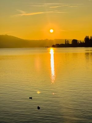 Sonnenuntergang Hafen Gaienhofen.jpg
