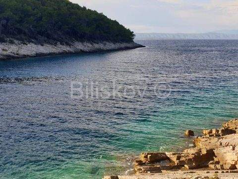 Vela Luka Bauernhöfe, Landwirtschaft, Vela Luka Forstwirtschaft