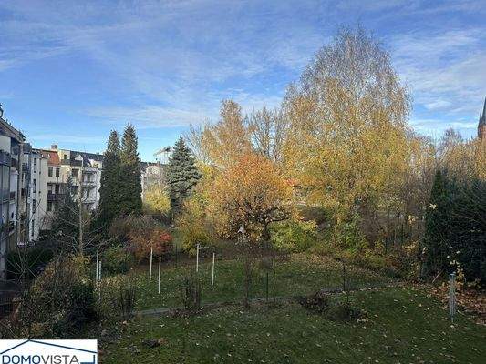 Blick in den Hinterhof