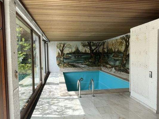 Wellnessbereich, Swimmingpool EG