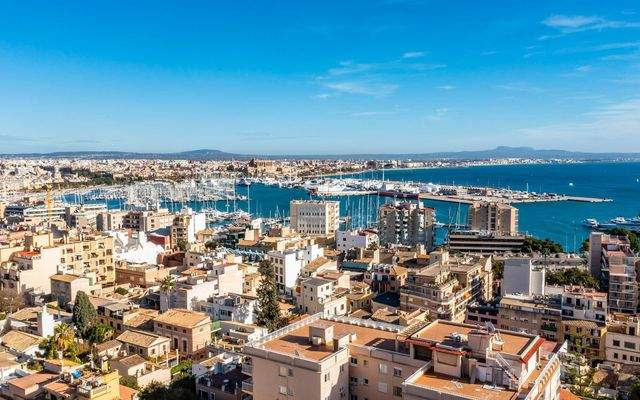 Stadtnah zu Palma und Hafen
