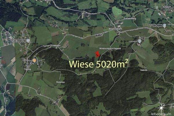 Wiese Moosburg zum Verkauf