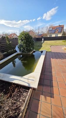 Fischteich im Garten