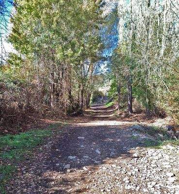 Imagen de WhatsApp 2025-06-20 a las 20.57.47_244f2