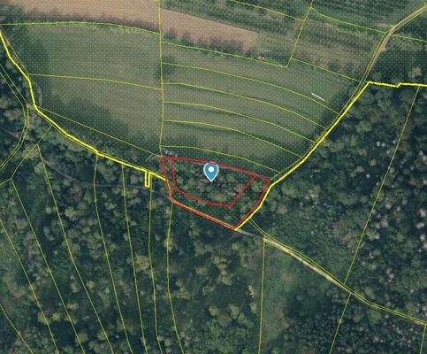 Luftbild markiert (aus BayernAtlas)